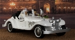21681 Auto -Elisar
